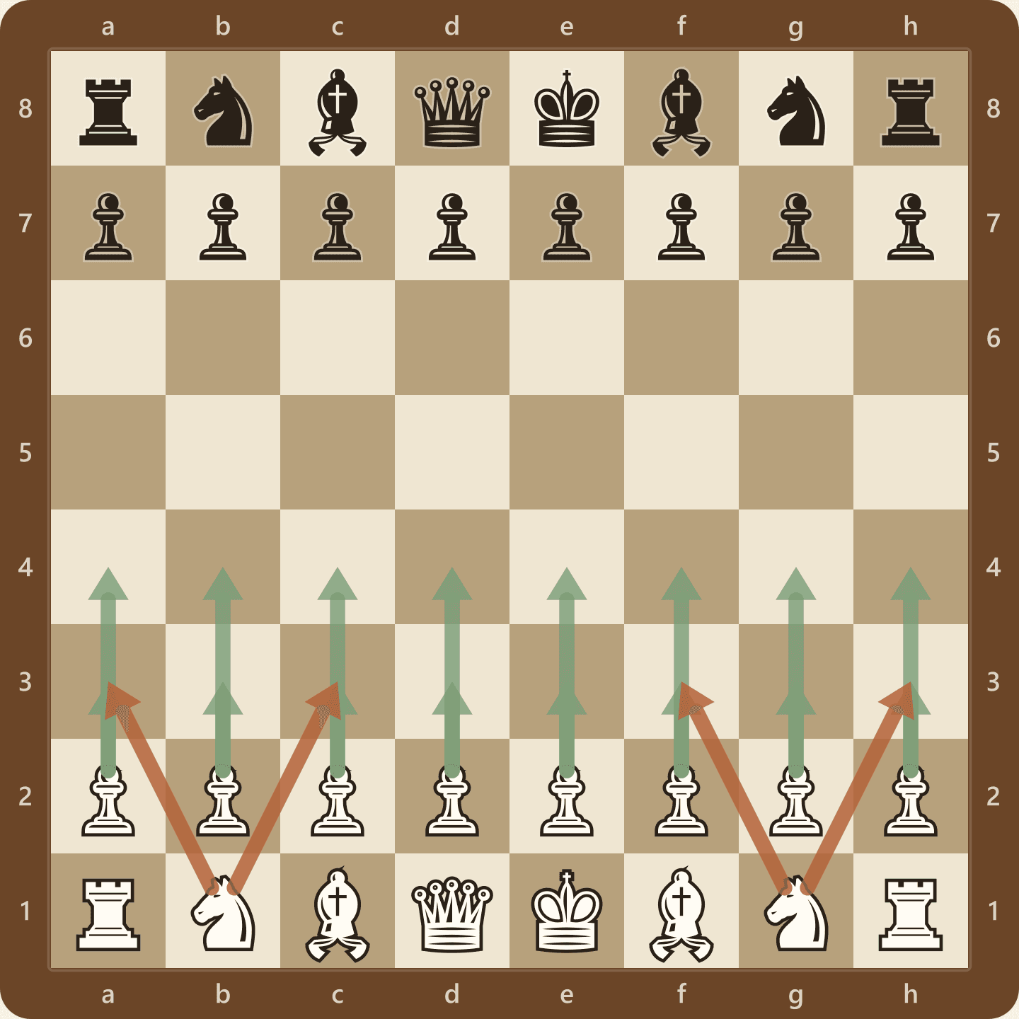The starting position with all twenty of White's legal first moves drawn as arrows: sixteen pawn moves and four knight moves